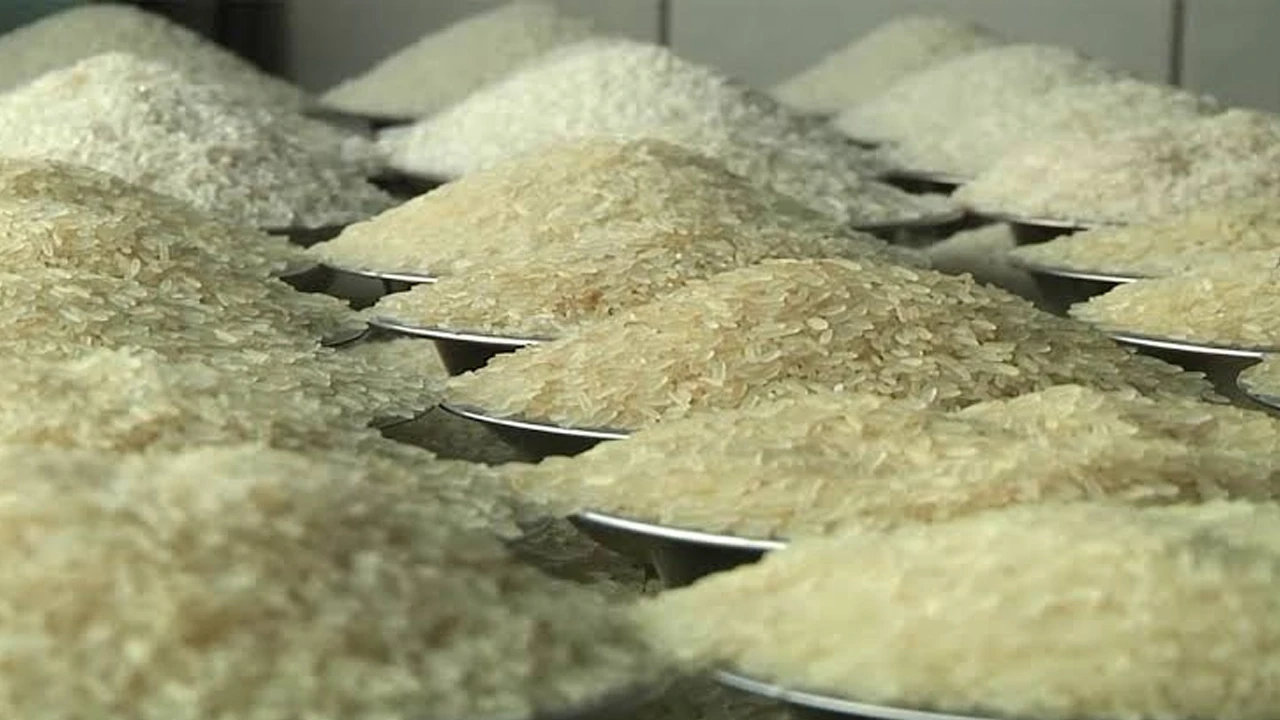 Asia's rice market may be unstable amid drought and water crisis