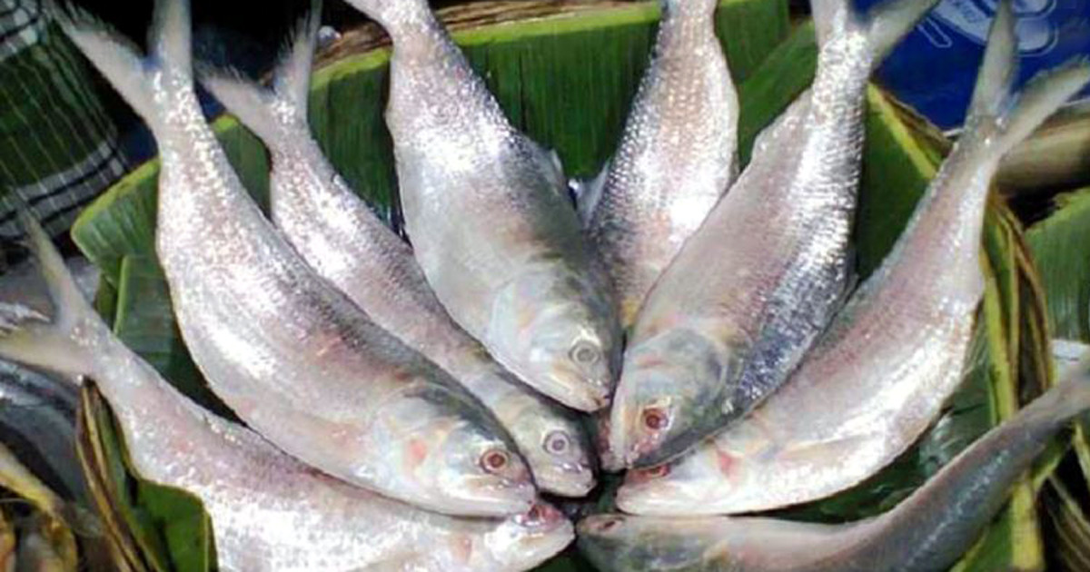 India wants ban on hilsa export from Bangladesh lifted