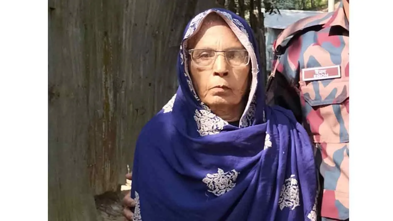 ভীমরুলের হামলায় গুরুতর অসুস্থ, হাসপাতালে বৃদ্ধার মৃত্যু