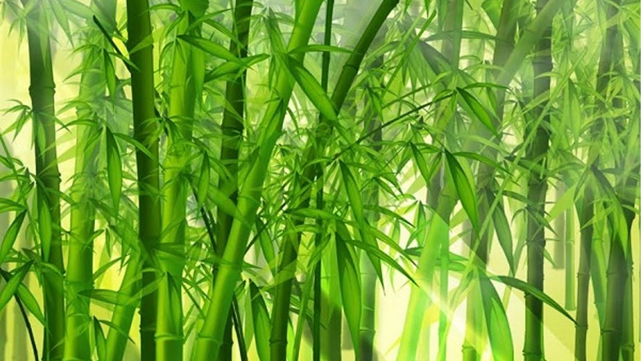 আজ বিশ্ব বাঁশ দিবস
