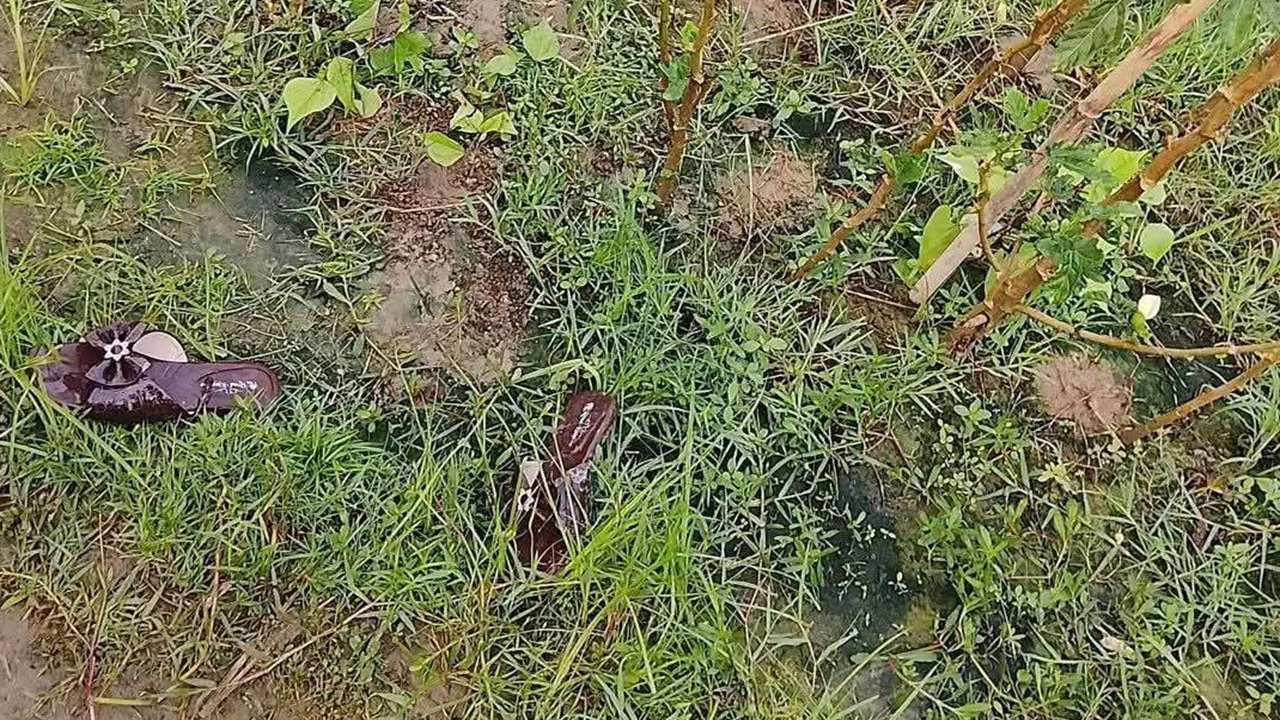 সীতাকুণ্ডে হাত বাঁধা নারীর মরদেহ উদ্ধার, গলায় আঘাতের চিহ্ন