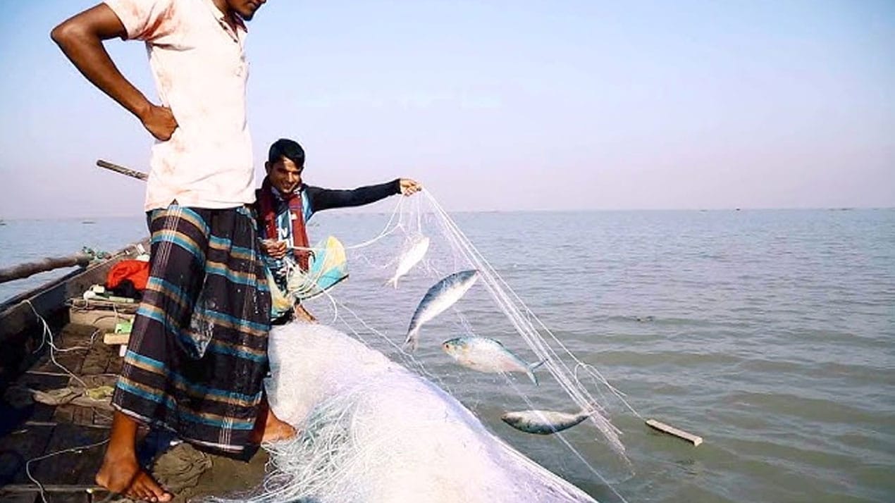 মধ্যরাত থেকে জাটকা ধরায় ৮ মাসের নিষেধাজ্ঞা শুরু